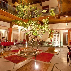 Atlas Acacia Marraquexe