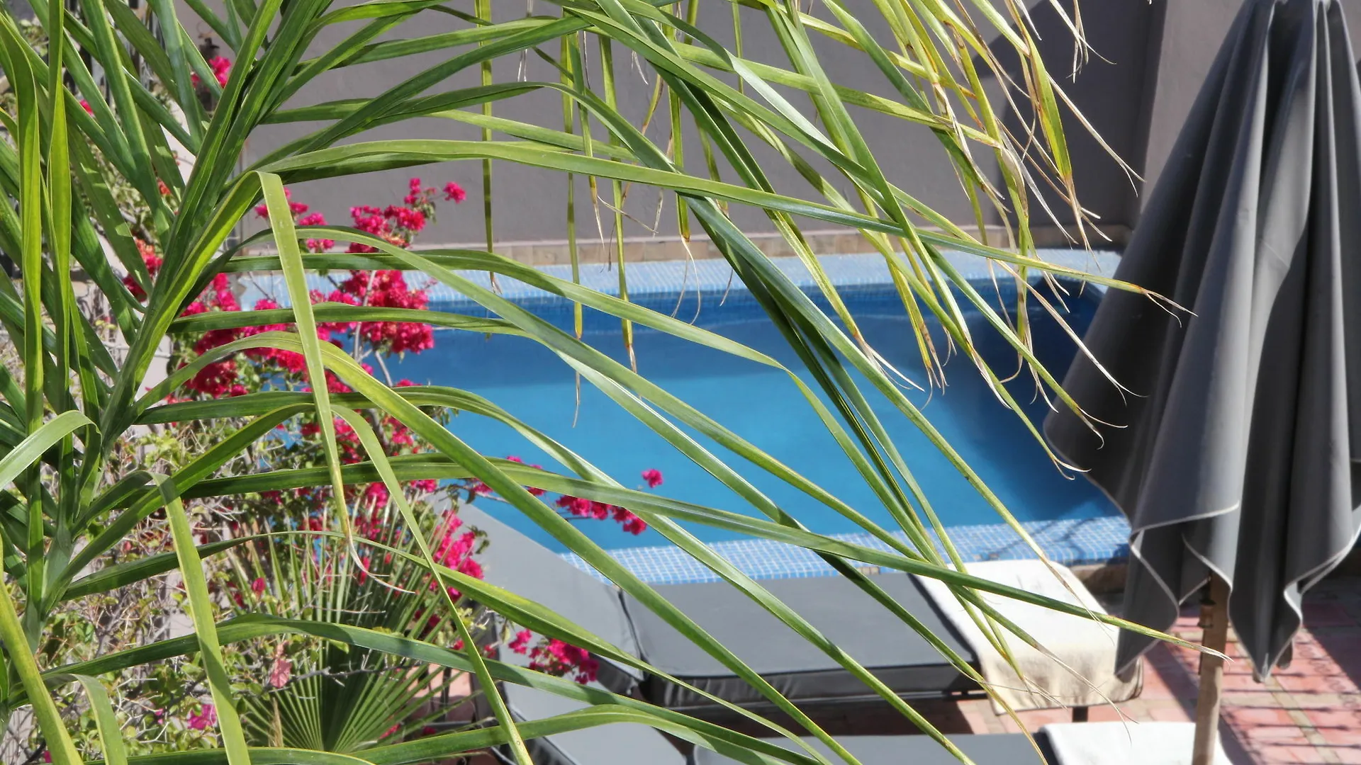 Riad Terra Bahia Marrákes